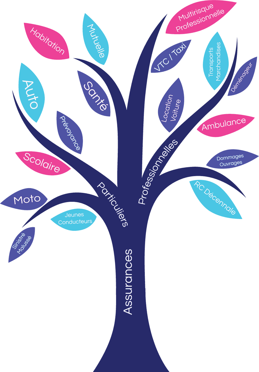 Sticker vitrine — arbre des assurances